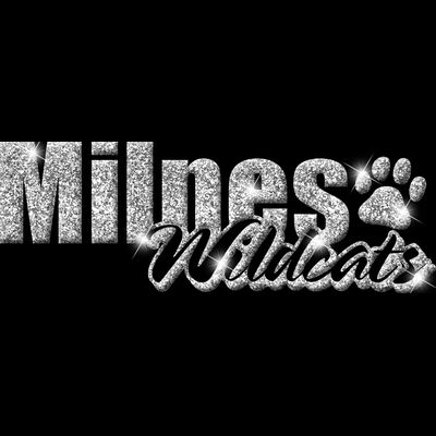 GLT1 SILVER GLITTER Thumbnail