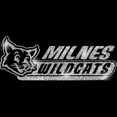 GLT102 SILVER GLITTER Thumbnail